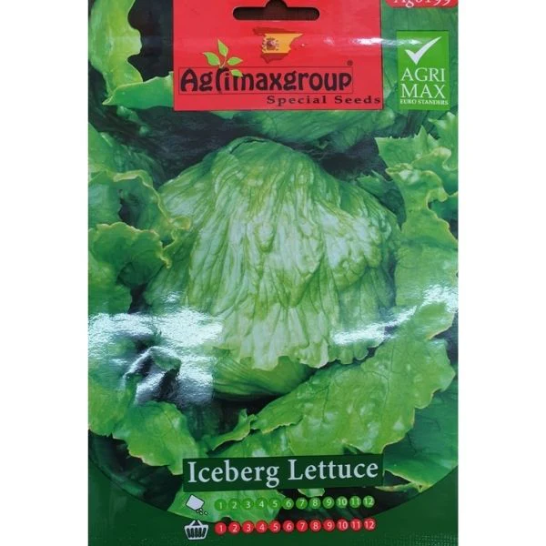 Iceberg Lettuce Seeds - Image 2