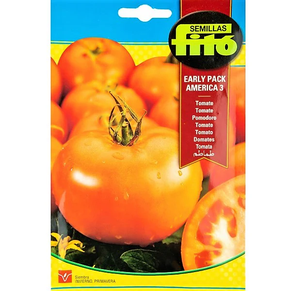 Tomato Early Pack America 3 Seeds - Image 2