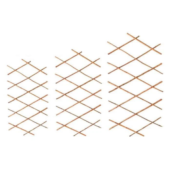 Bamboo Trellis - Image 3