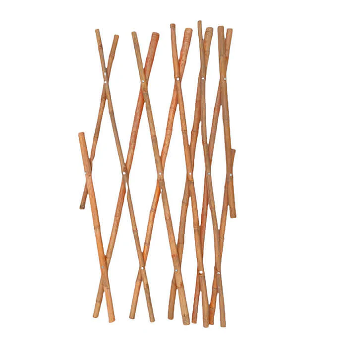 Bamboo Trellis - Image 4