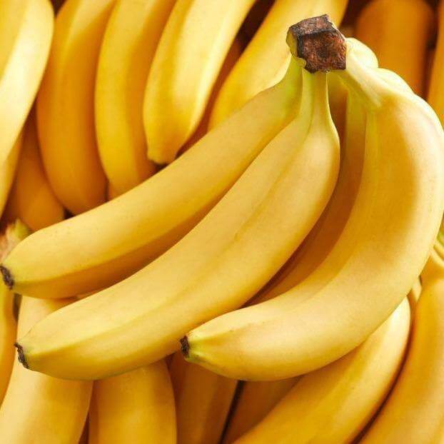 Musa paradisiaca, Banana Tree - Image 3