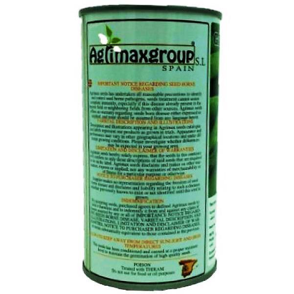 Beans Linoch Seeds Tin - Image 3