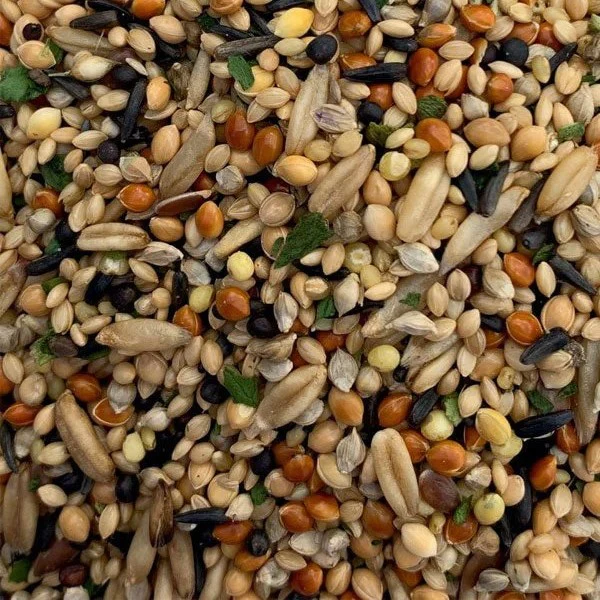 Bird Food (Mix Seed) - Image 4