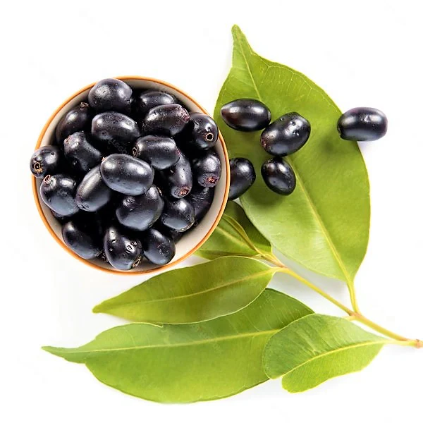 Black Plum, Syzygium Cumini, Java Plum, Jamun, Jambolan - Image 2