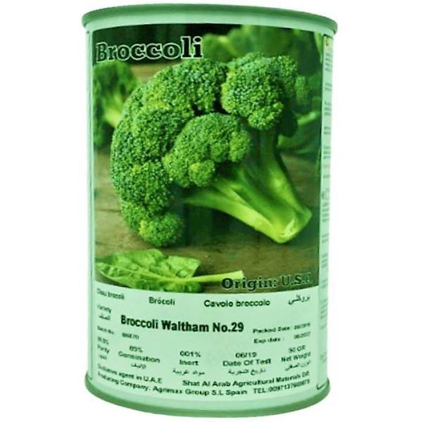 Broccoli Waltham 29 Seeds Tin - Image 2