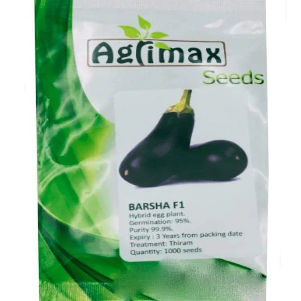 Egg Plant Barsha F1 Premium Quality Seeds - Image 3