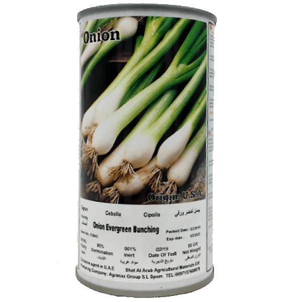 Evergreen Bunching Onions Seeds Tin - Image 2