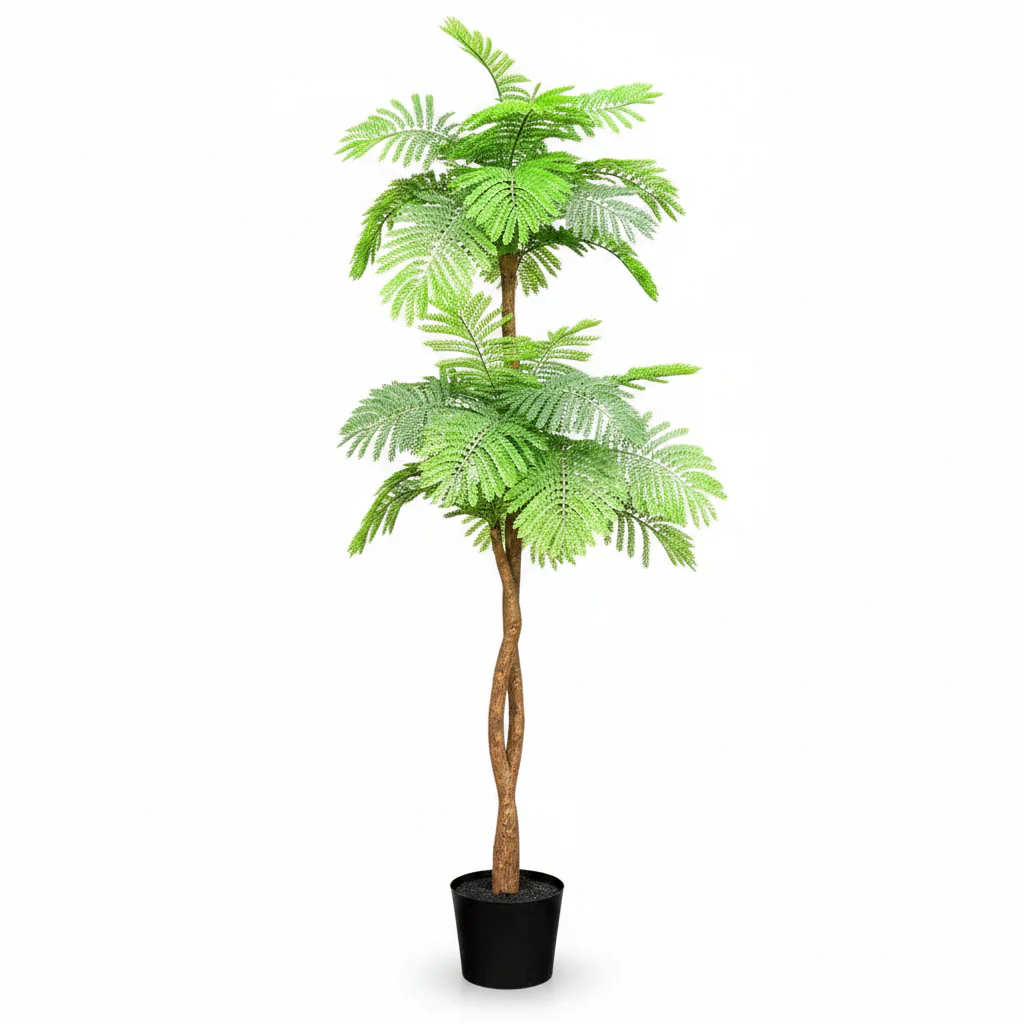Flame Tree, Delonix Regia, Royal Poinciana - Image 2