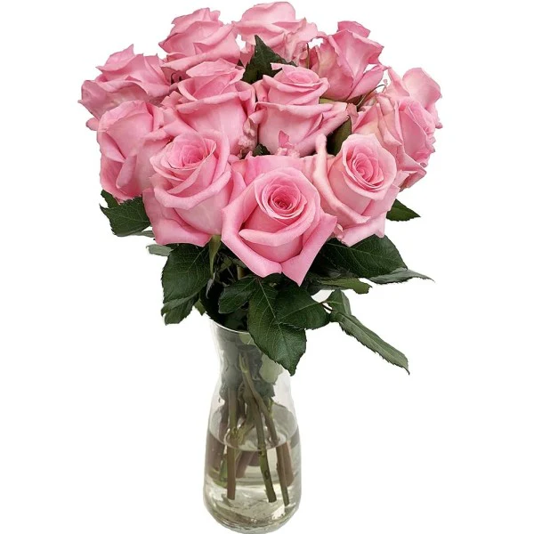 Fresh Pink Roses and Bouquet - Image 2