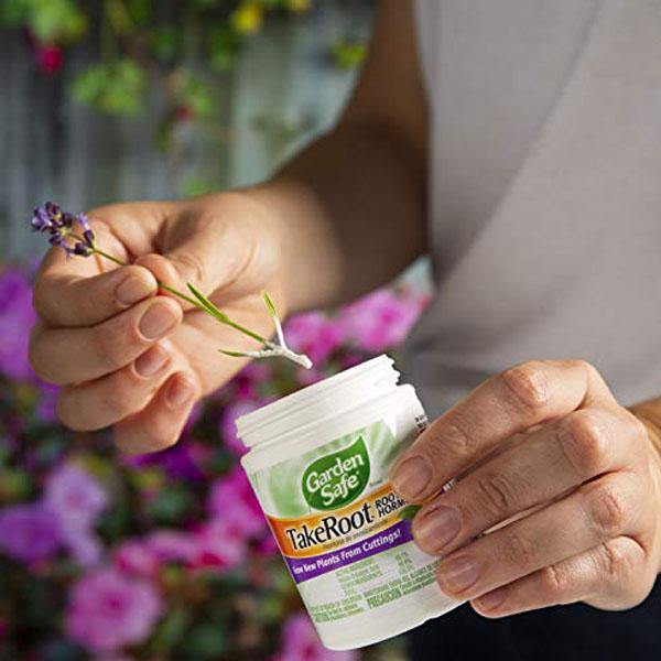 Garden Safe TakeRoot Rooting Hormone - Image 2