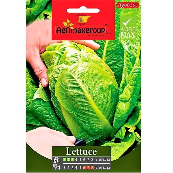 Lettuce Seeds