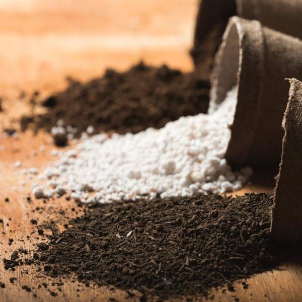 Living Space Potting Soil Mix - Image 4