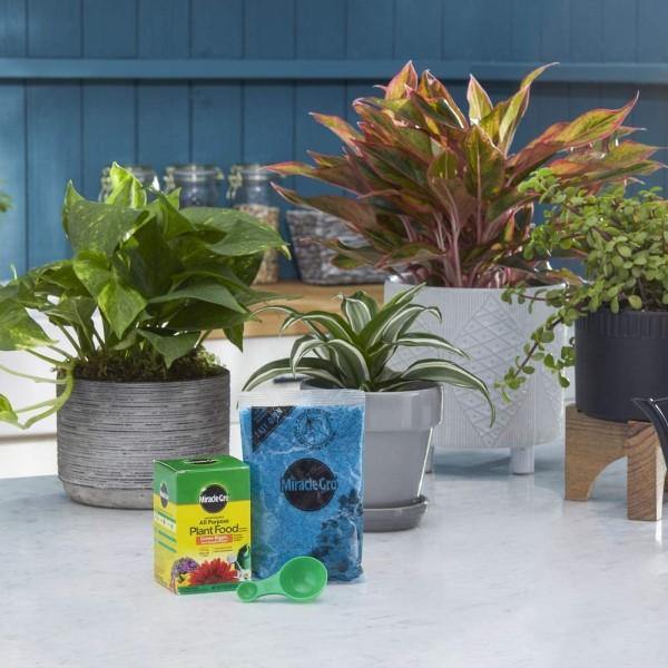 Miracle-Gro Water Soluble All Purpose Plant Food - Image 2
