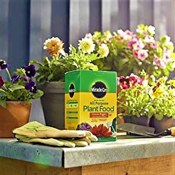 Miracle-Gro Water Soluble All Purpose Plant Food - Image 3