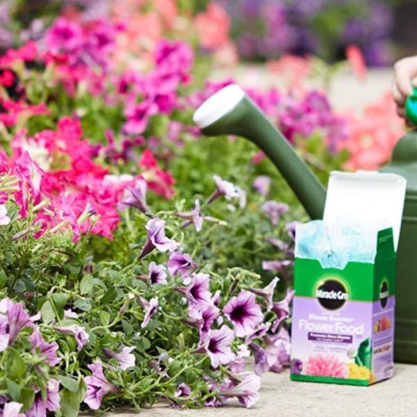 Miracle-Gro Water Soluble Bloom Booster Flower Food - Image 2
