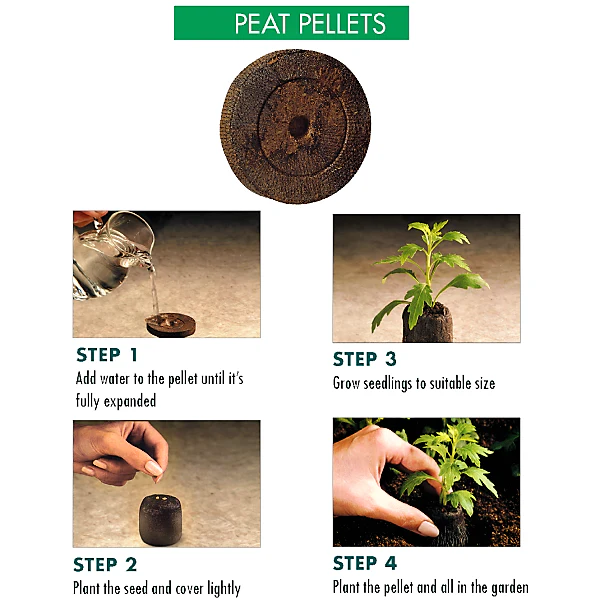 Peat Pellets or Peat Seeds Starters - Image 4