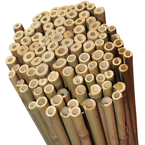 Bamboo Stick 15-30mm Dia - Image 3