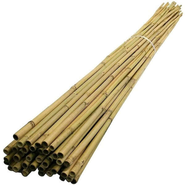 Bamboo Stick 15-30mm Dia - Image 6