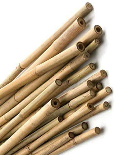 Bamboo Stick 15-30mm Dia - Image 7