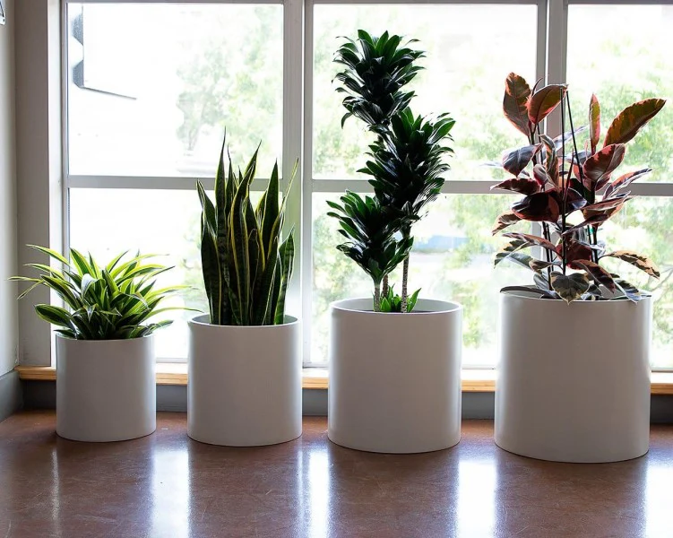 Round GRP Pot Planter, High Quality Durable - Image 3