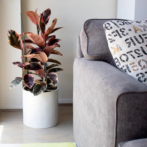 Round GRP Pot Planter, High Quality Durable - Image 6