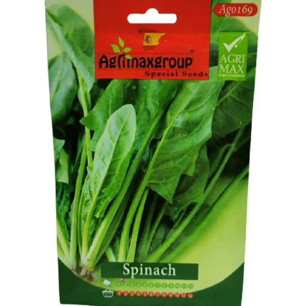 Spinach Seeds - Image 2