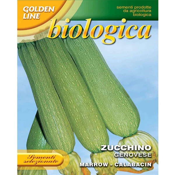 Squash Genovese, Franchi Seeds