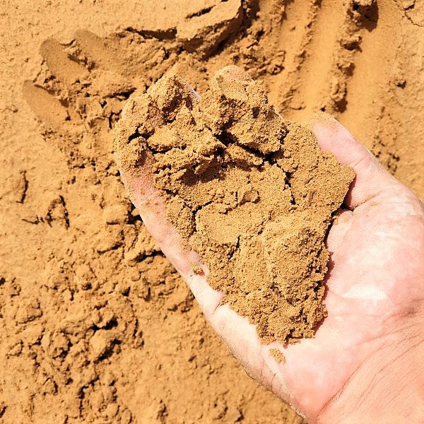 Sweet Sand, Sweet Soil - Image 2